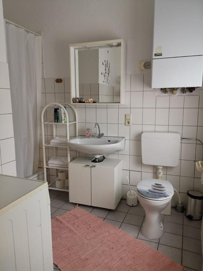 Ferienwohnung Harmonie 45 M2 سولينجين المظهر الخارجي الصورة