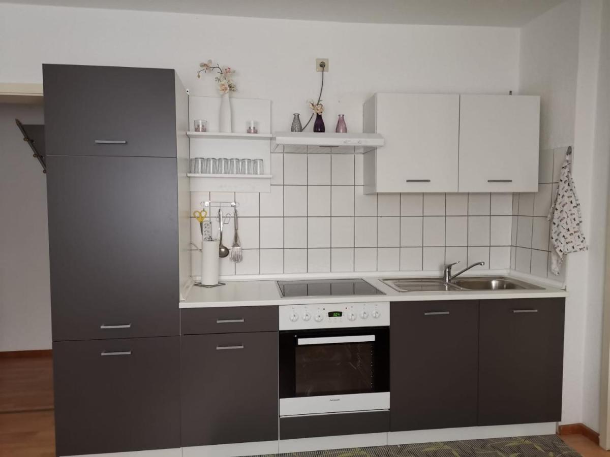 Ferienwohnung Harmonie 45 M2 سولينجين المظهر الخارجي الصورة