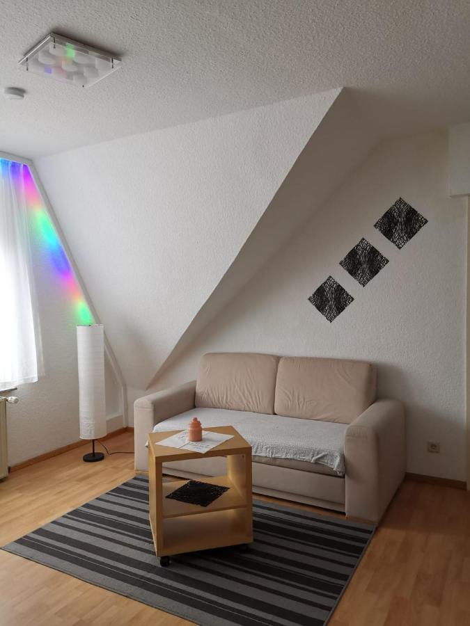 Ferienwohnung Harmonie 45 M2 سولينجين المظهر الخارجي الصورة