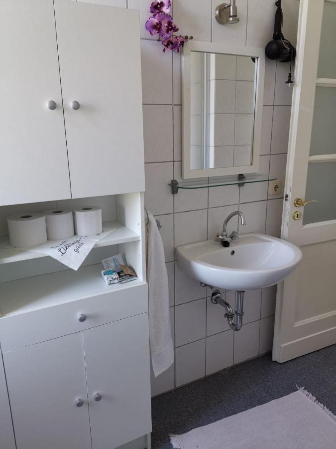 Ferienwohnung Harmonie 45 M2 سولينجين المظهر الخارجي الصورة