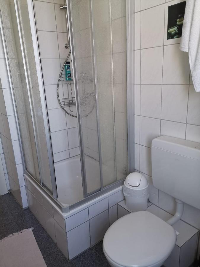 Ferienwohnung Harmonie 45 M2 سولينجين المظهر الخارجي الصورة